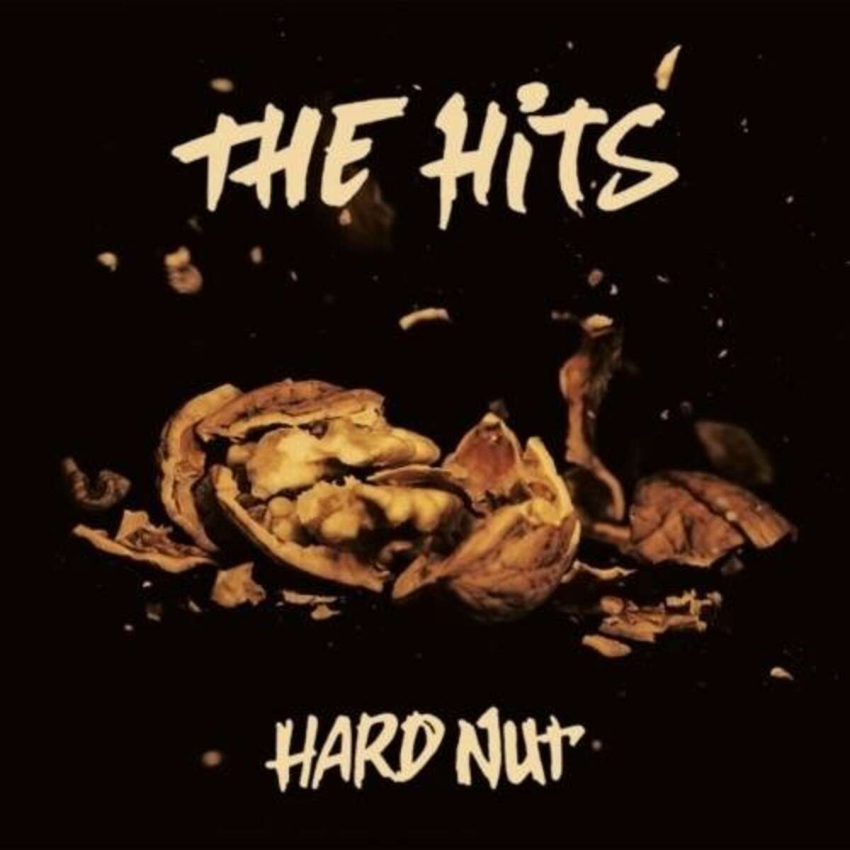 Illustration The Hits en concert