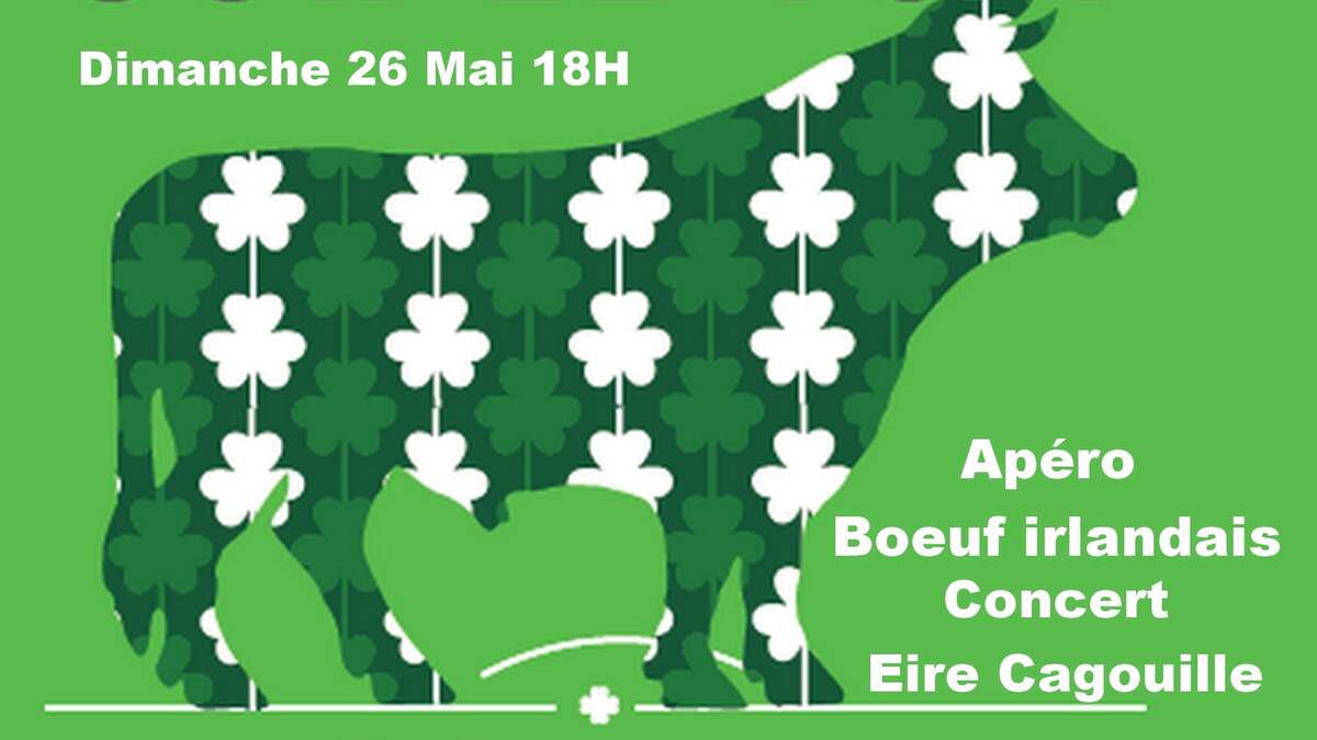 Photo de l'événement Concert Eire Cagouille Folk Irlandais à Le Grand Cagibi