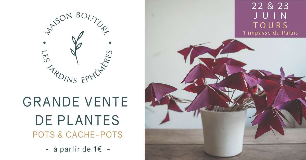 Photo de l'événement Tours // Le Jardin Éphémère de Maison Bouture à Le HQ