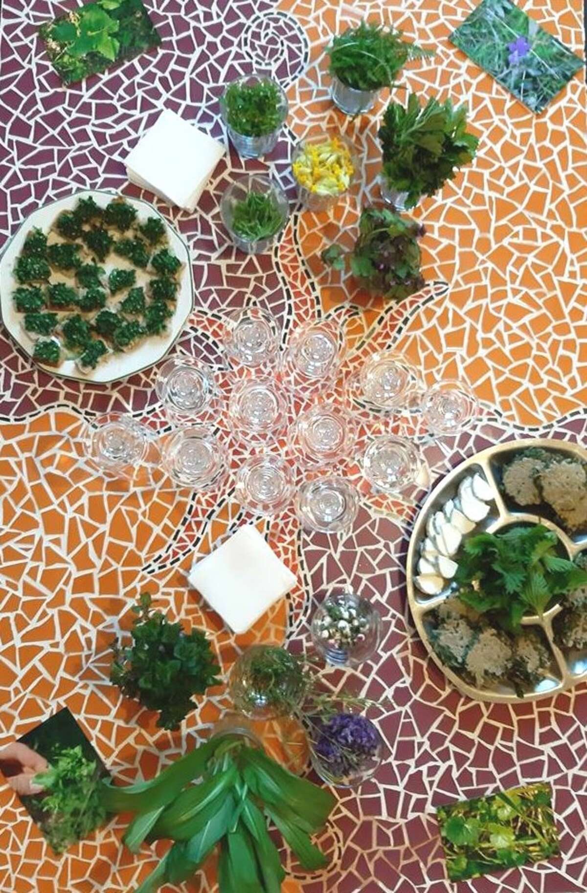 Photo de l'événement Atelier-dégustation : plantes sauvages et vins de Loire à Institut Européen d'Histoire et des Cultures de l'Alimentation