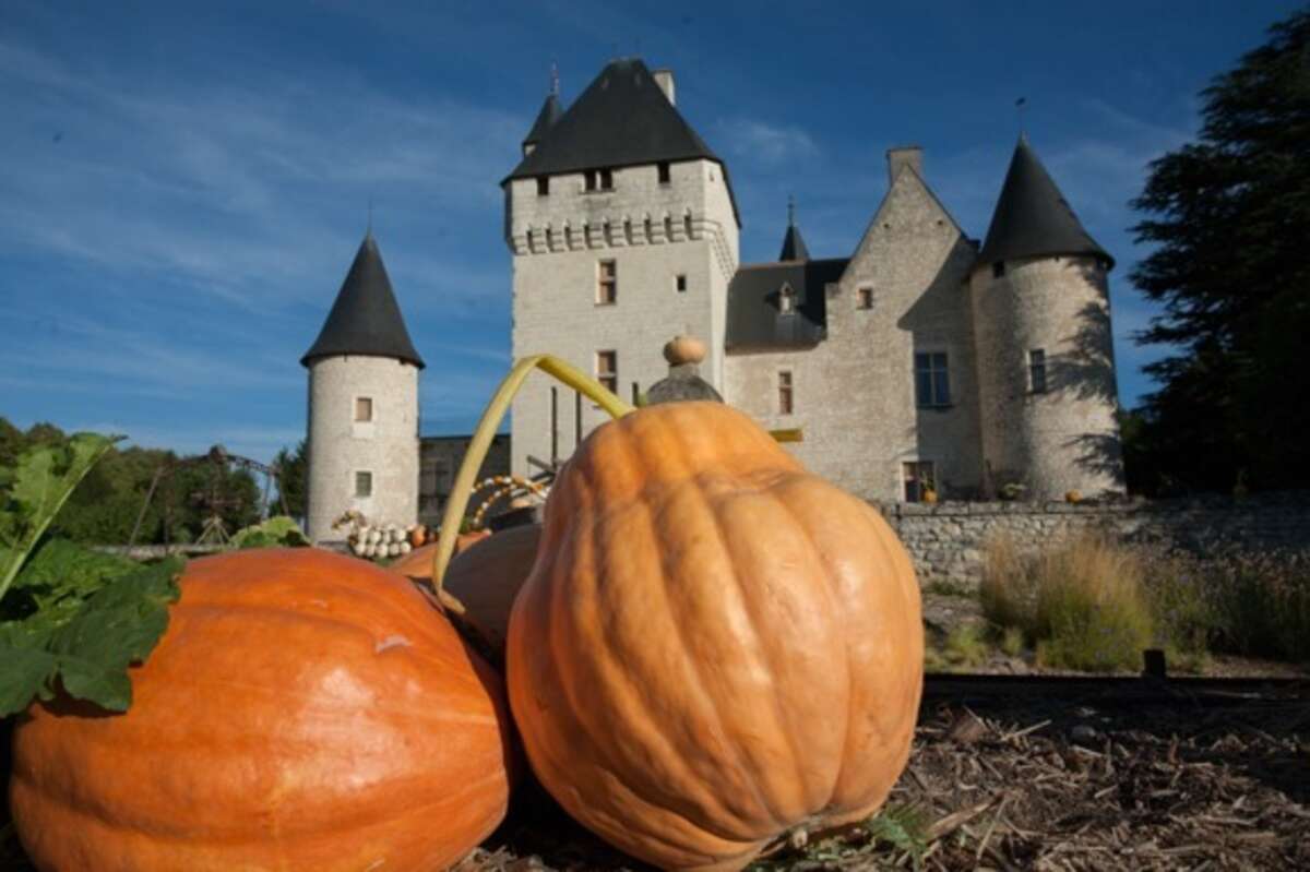 Photo de l'événement Fête de la Citrouille du Rivau 2019 à Château du Rivau