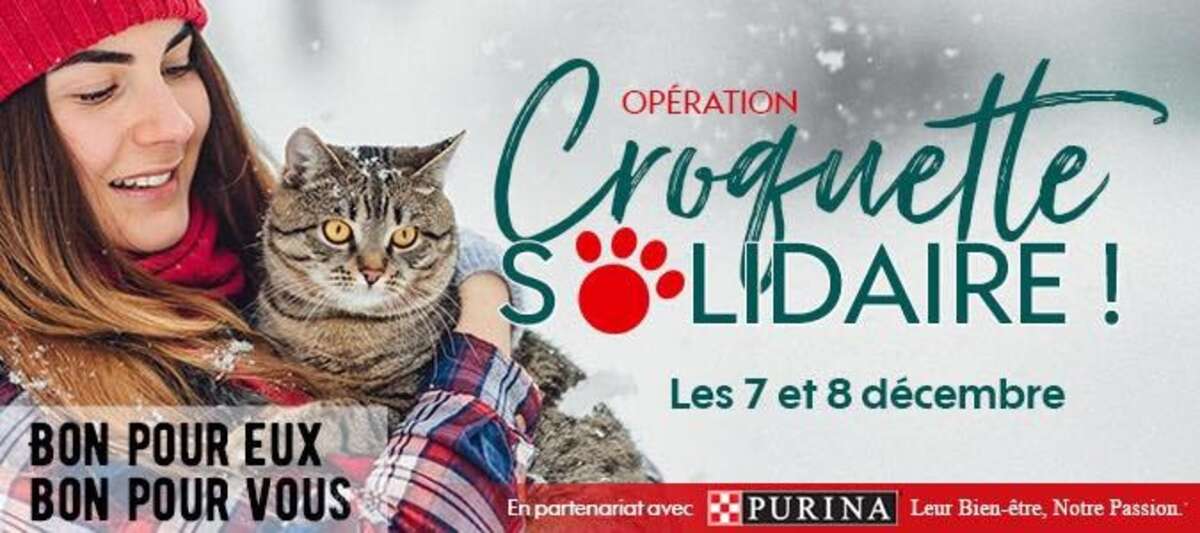 Photo de l'événement Collecte d’aliments pour animaux à Truffaut Tours Petite Madelaine