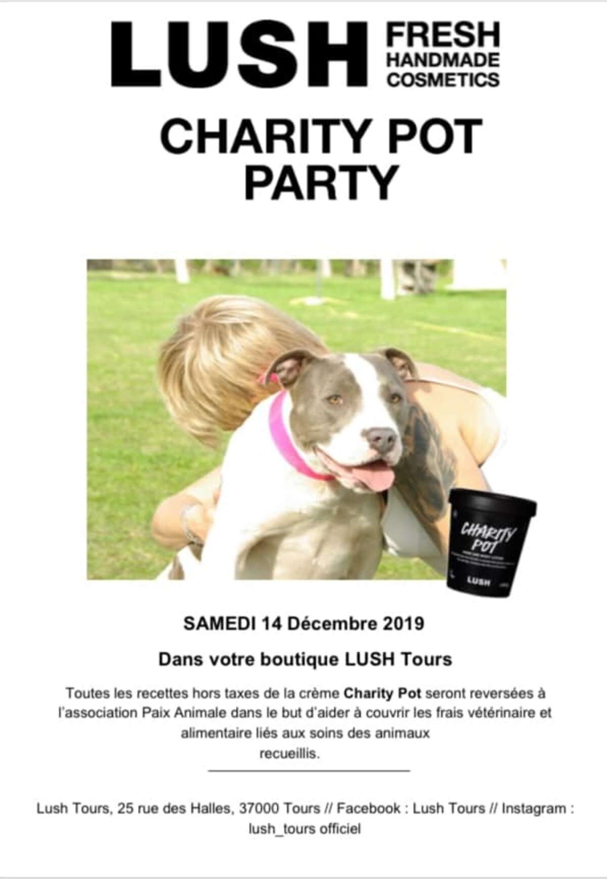 Illustration Charity Pot Party