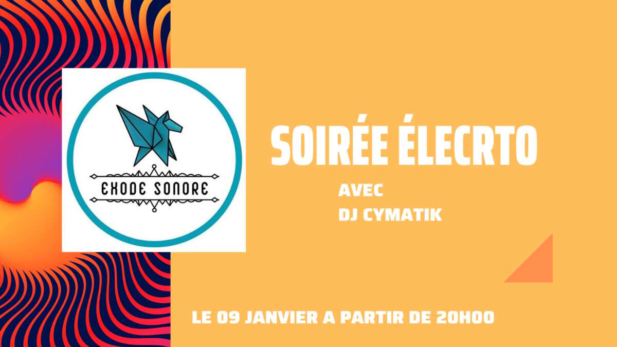 Photo de l'événement Soirée électro à Bistro Régent Tours centre