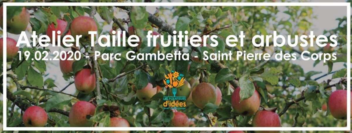 Illustration Atelier : Taille Douce des arbres fruitiers et arbustes