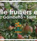 Atelier : Taille Douce des arbres fruitiers et arbustes image au format JPG