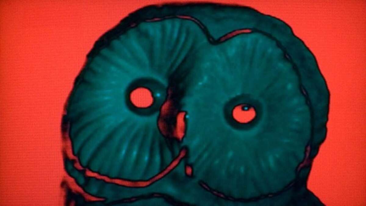 Photo de l'événement Subliminal Soundsystem (Résidanse) à Le Serpent Volant Tours