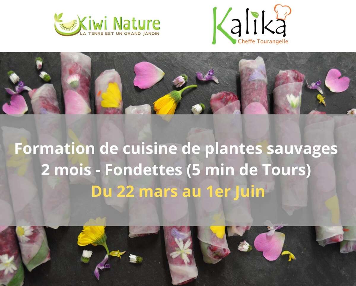 Photo de l'événement Formation de cuisine de plantes sauvages 2 mois Fondettes à FONDETTES