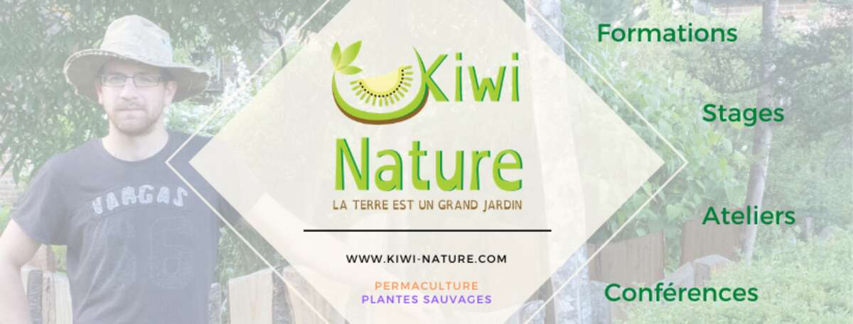 Photo de l'événement Balade plantes sauvages comestibles et médicinales à TOURS