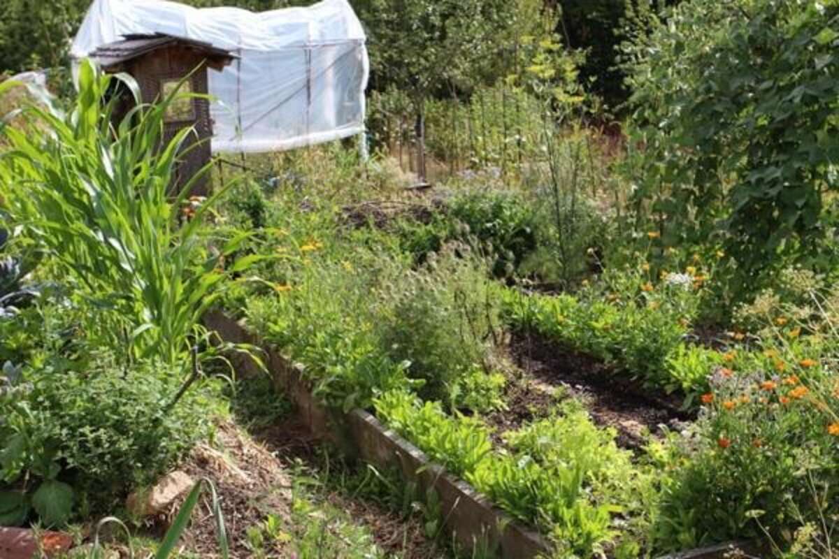 Photo de l'événement Atelier-conférence : Permaculture design à L'arrose'Loire