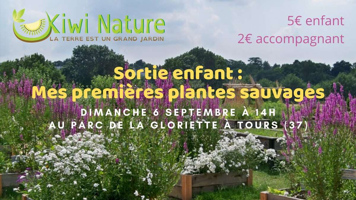 Illustration Sortie enfant : Mes premières plantes sauvages