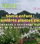 Sortie enfant : Mes premières plantes sauvages image au format JPG