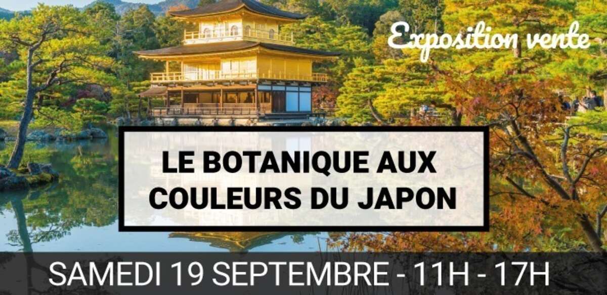 Photo de l'événement Le Botanique aux Couleurs du Japon à LE JARDIN BOTANIQUE