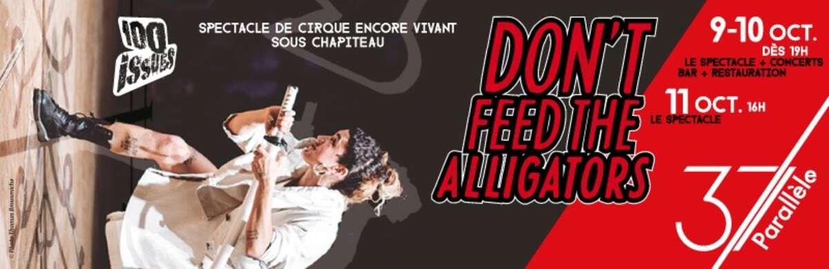 Photo de l'événement Soirées "de la joie, de la vie, de la mort" : Don't Feed the Alligators à Le 37ème Parallèle