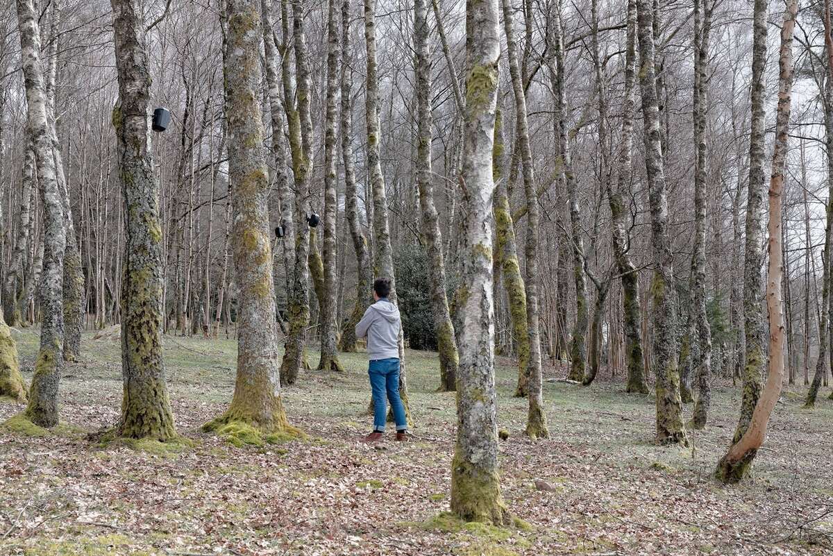Photo de l'événement Installation sonore et paysagère de Dominique Petitgand à Prieuré de Saint-Cosme