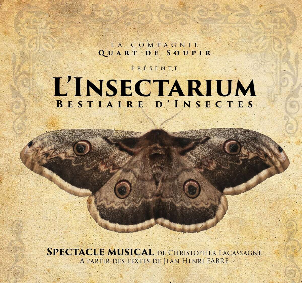 Illustration L'Insectarium Bestiaire d'Insectes