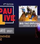 Concert CHAPAULIVE - Strawberry Seas - Big Yaz Explosion image au format JPG