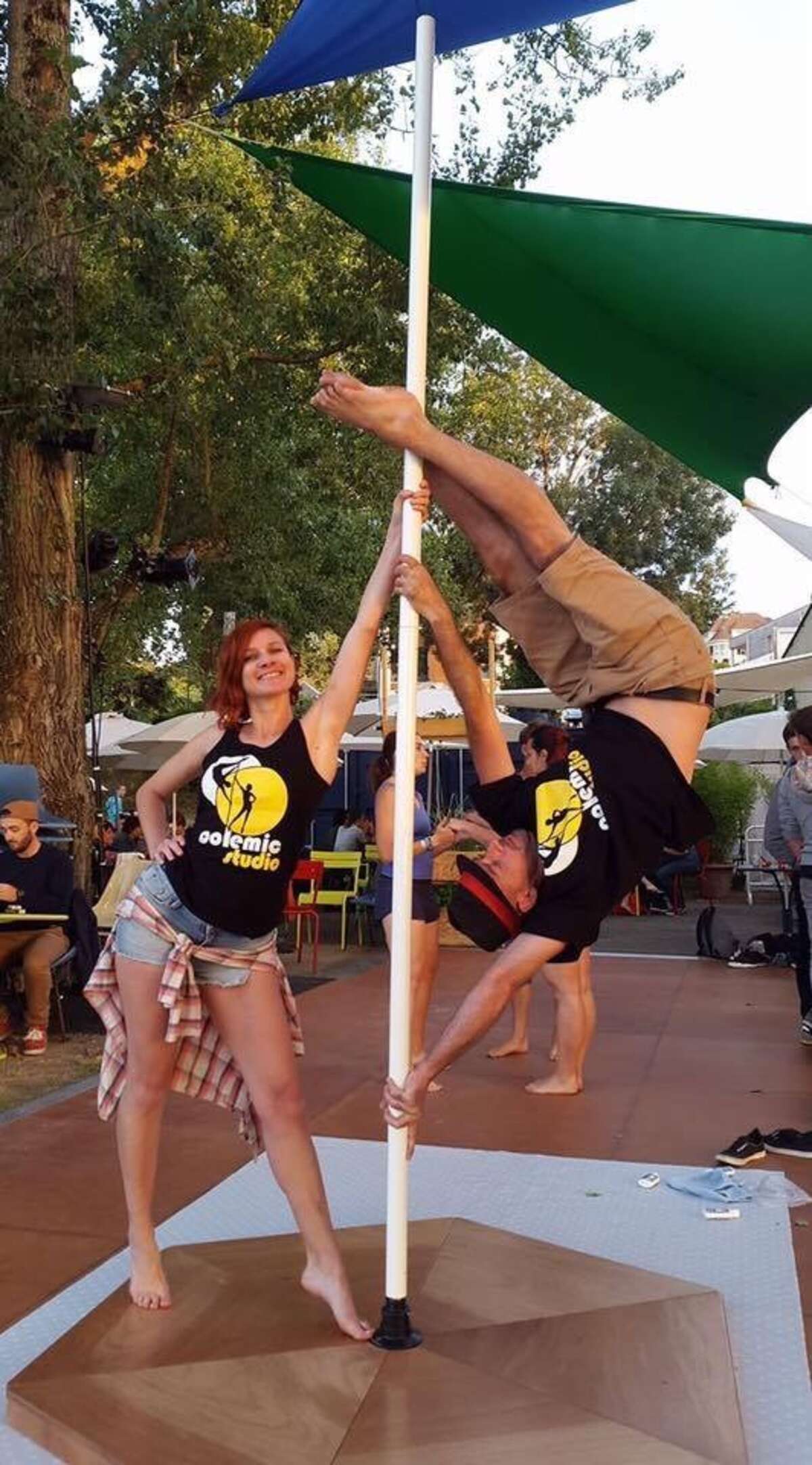 Illustration Pole Garden Party