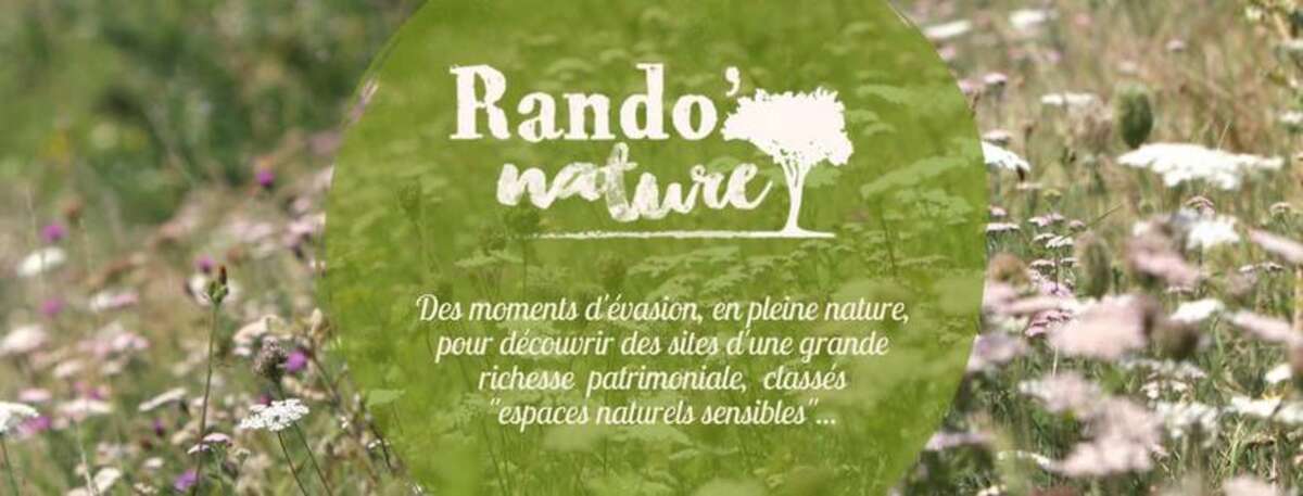 Photo de l'événement Rando' Nature | Plantes sauvages à déguster à Saint-Benoît-la-Forêt