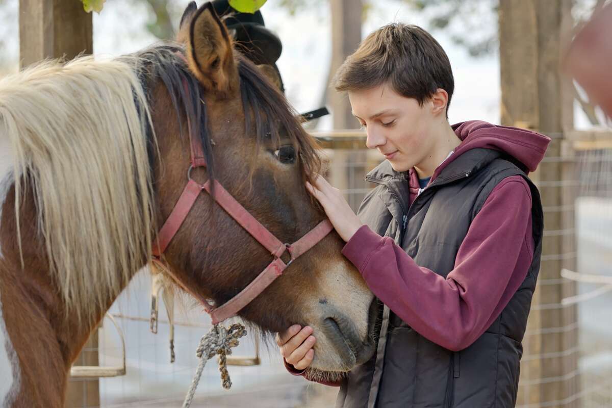 Photo de l'événement Conférence "Zoothérapie : Les bienfaits de la médiation par l'animal" à Espace Arkopol