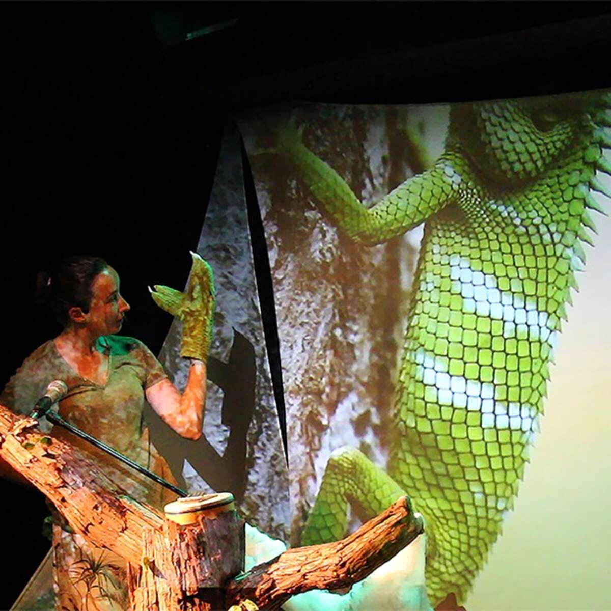 Photo de l'événement Animal Totem - Au Fil Des Saisons à Espace Jacques Villeret